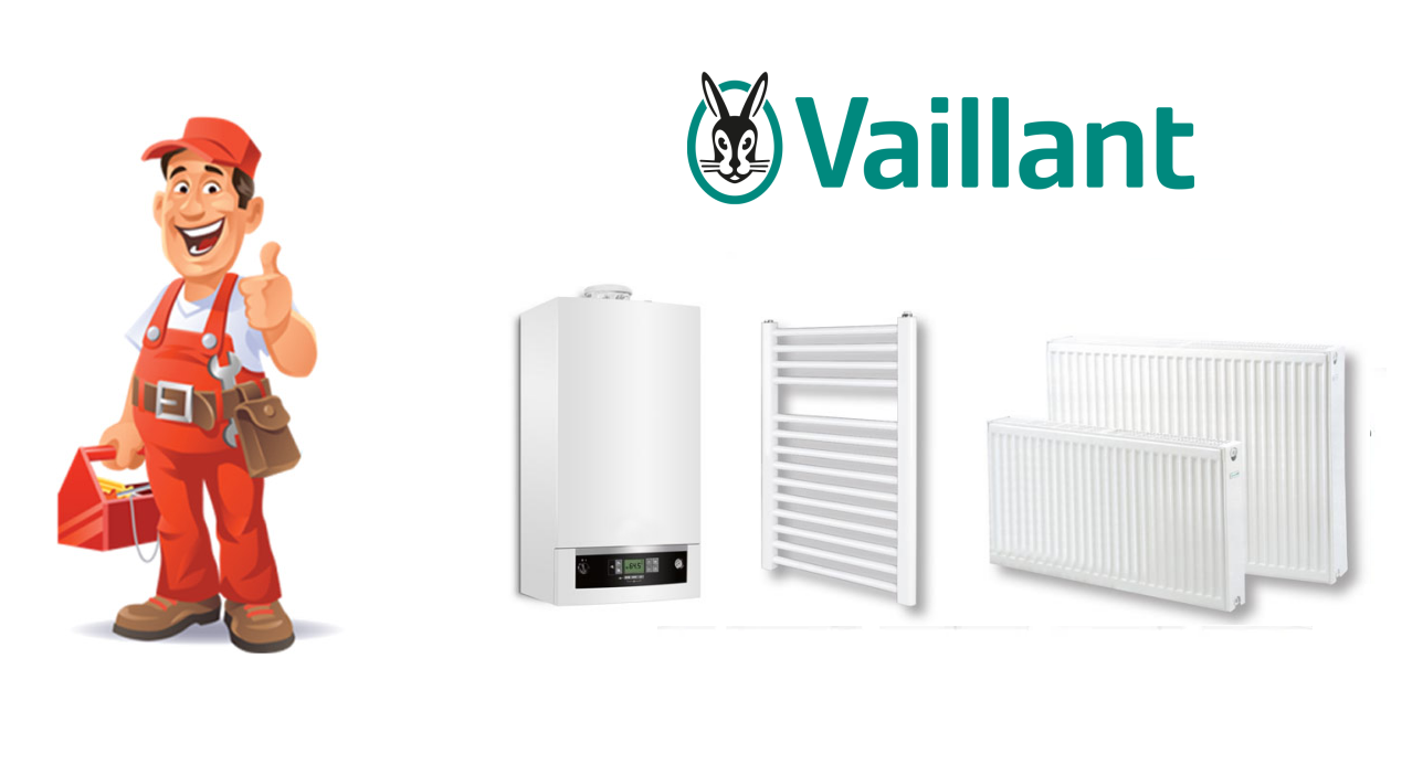 Bayraklı Vaillant Kombi Servisi